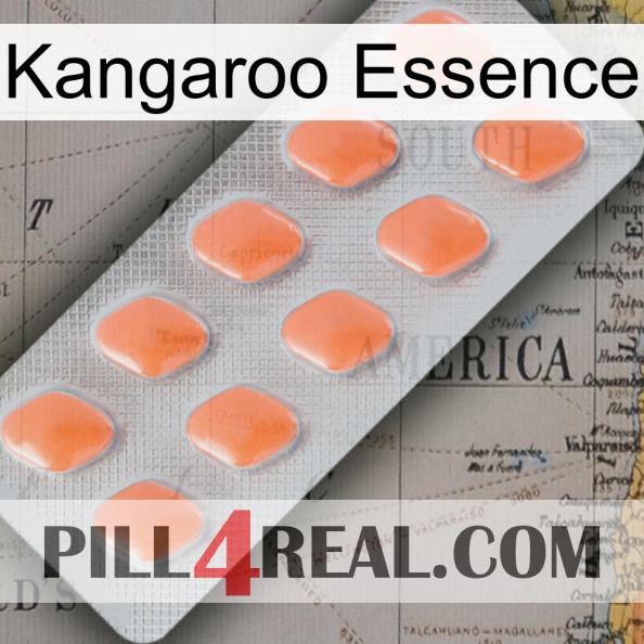 Kangaroo Essence 26.jpg